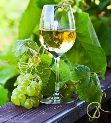 Vinho Verde Enológico – Región de Basto